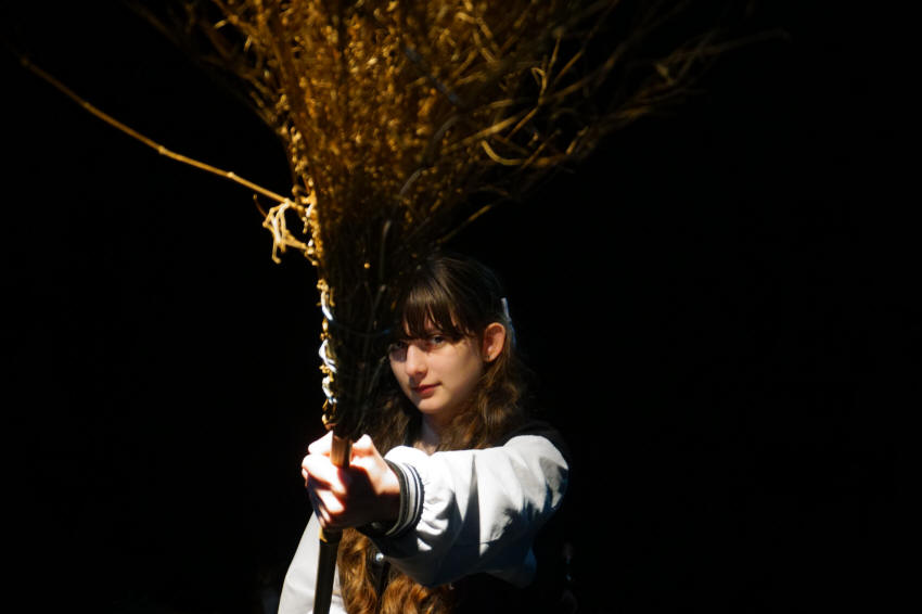 broom