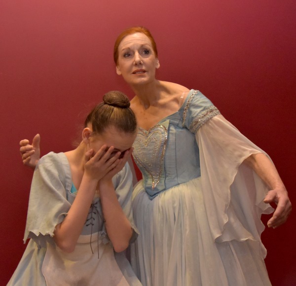 cinders and godmother