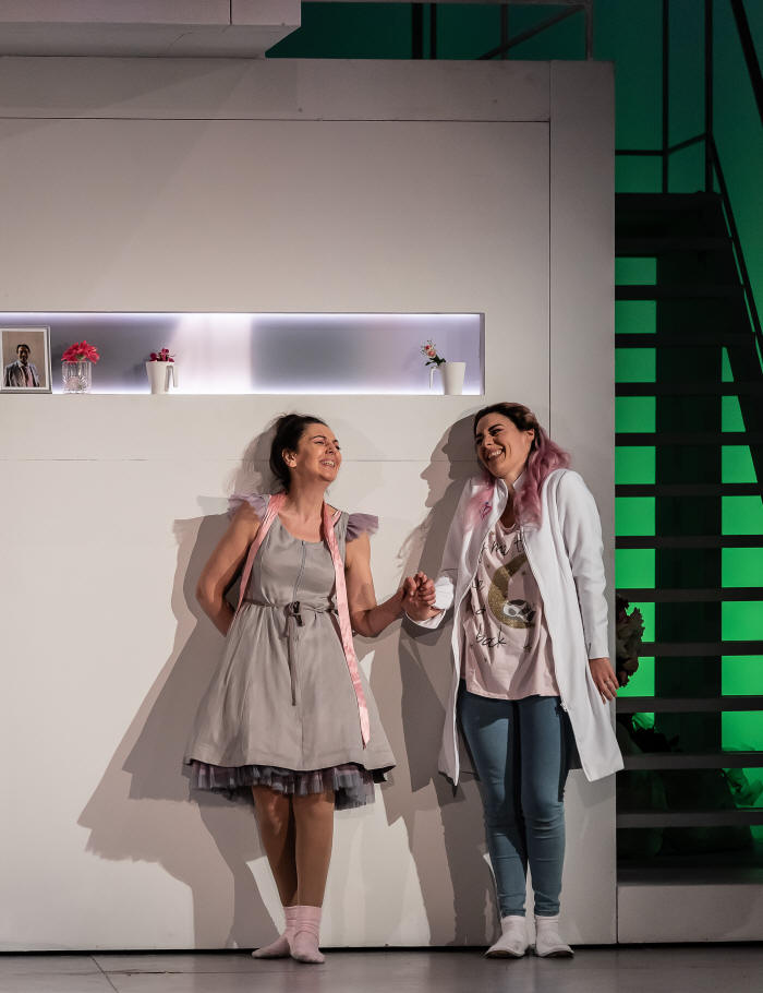 butterfly and suzuki