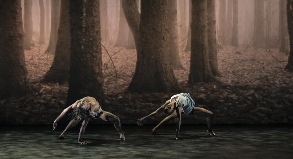 faun