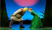 shrek and fiona